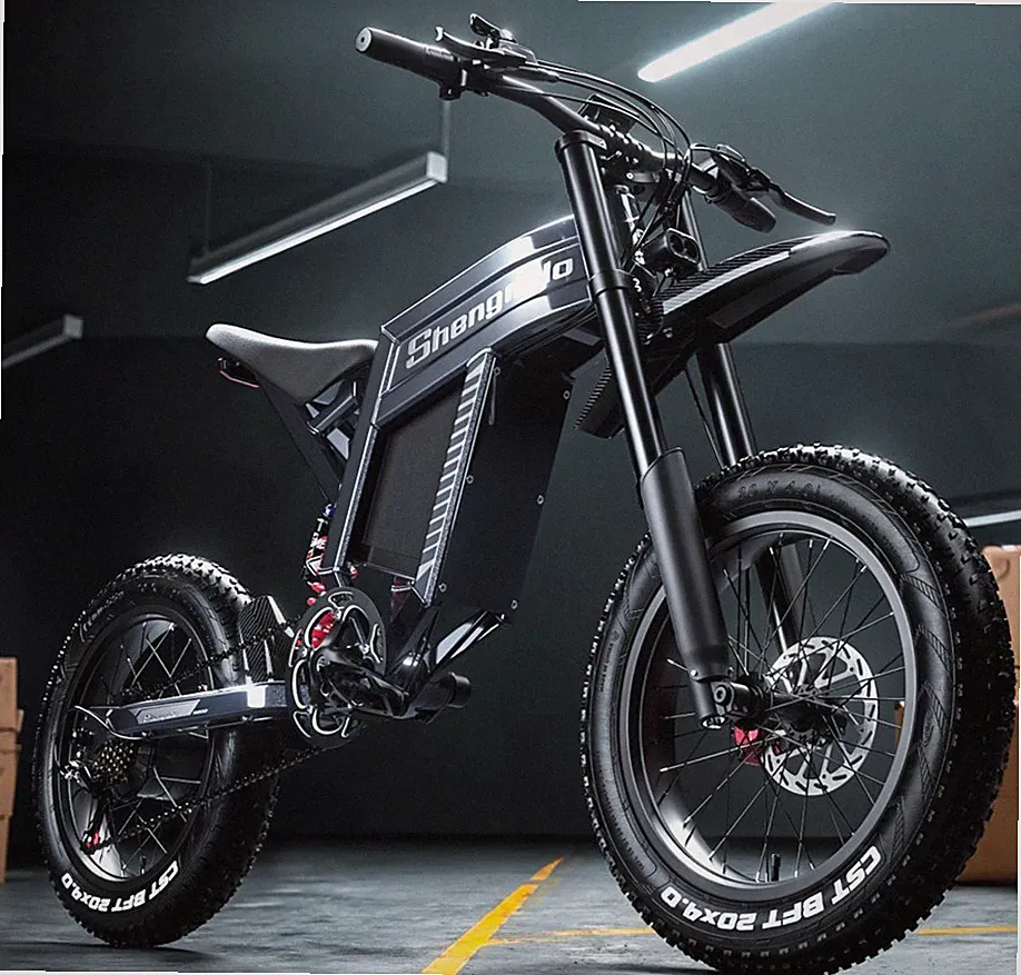 European Electric Bike