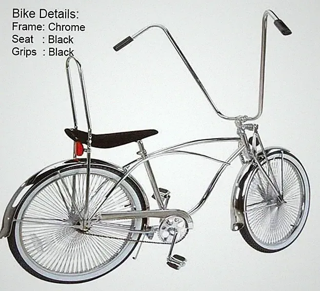 European Beach Cruiser