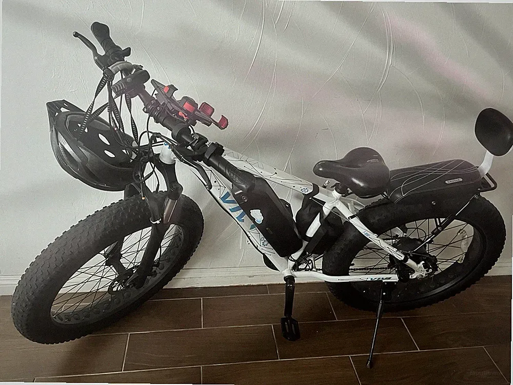 European Fat Tire Bike