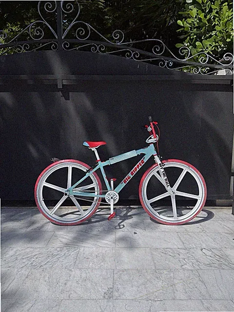 European Single Speed Bike