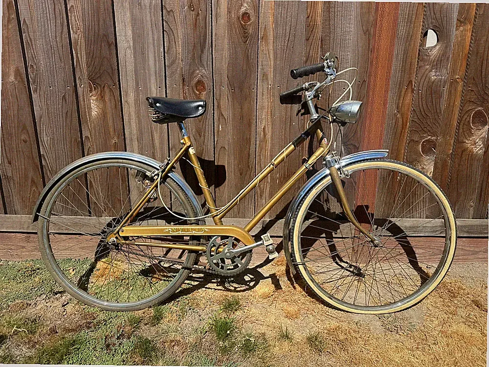 European Hybrid Bike
